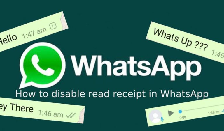 Find out how to disable learn receipt in WhatsApp